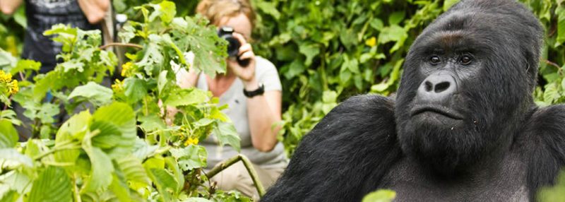 Rwandan Experience