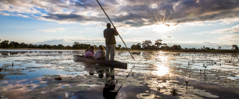 Journey through the Okavango Delta
